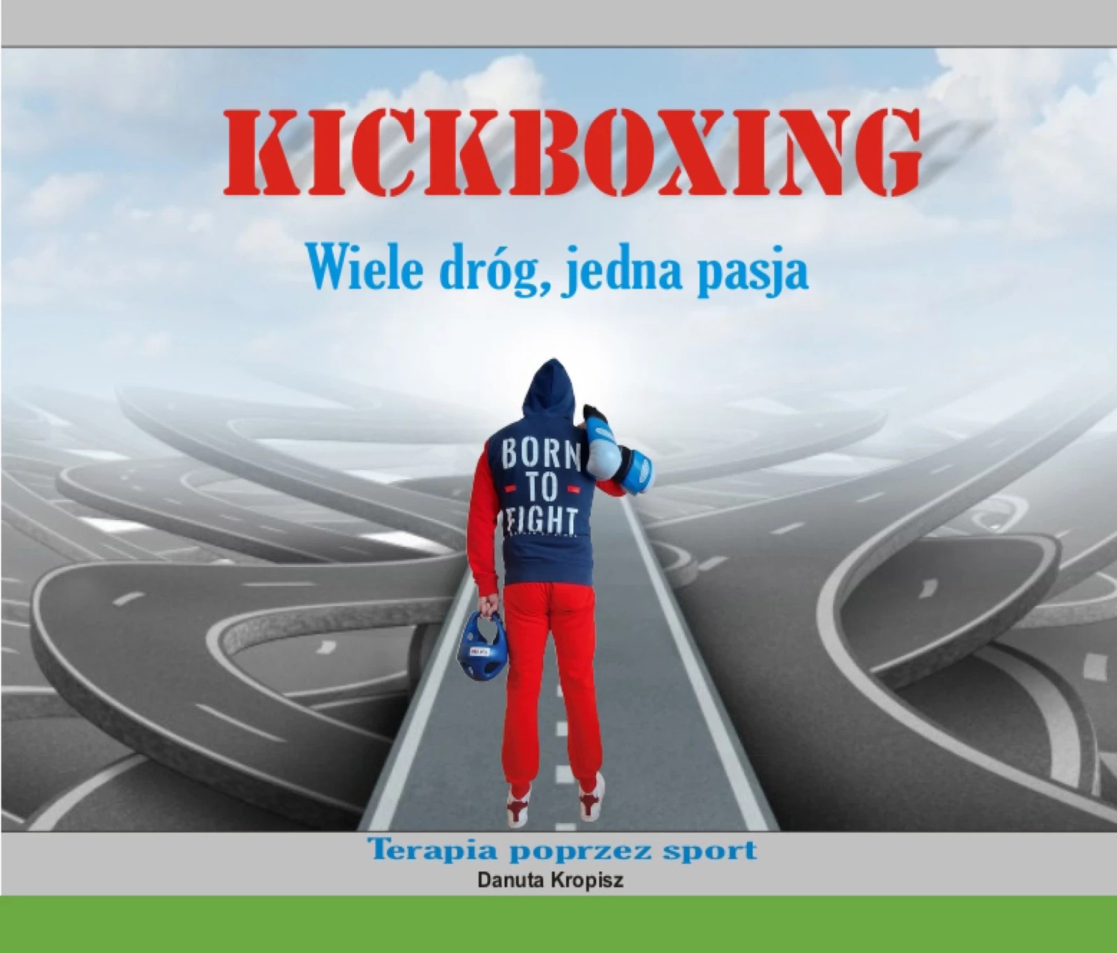 Kickboxing Wiele dróg, jedna pasja....